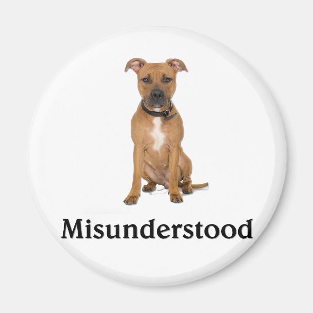 Pitbull - falsch verstanden magnet (Vorne)