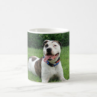 Pitbull-förmiger Knochen Kaffeetasse