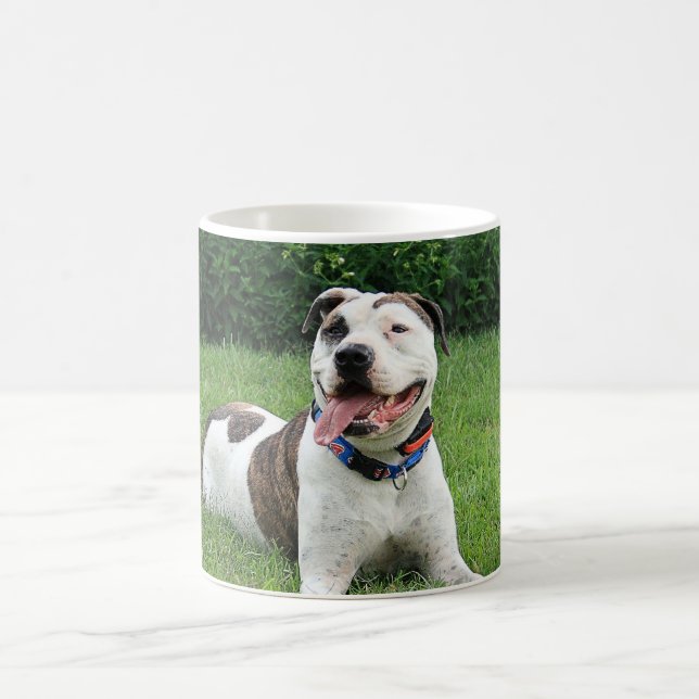 Pitbull-förmiger Knochen Kaffeetasse (Mittel)