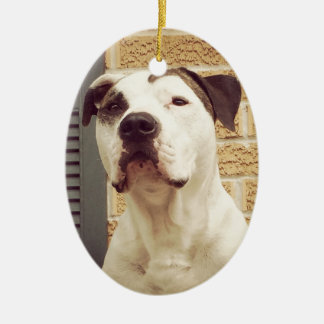 Pitbull-förmiger Knochen Keramikornament