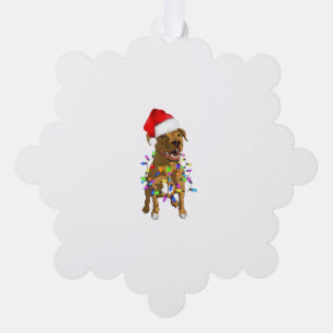 Pitbull Frohe Weihnachtsbaumleuchten Funny Pajama Ornament Karte