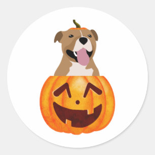 Pitbull Halloween Runder Aufkleber