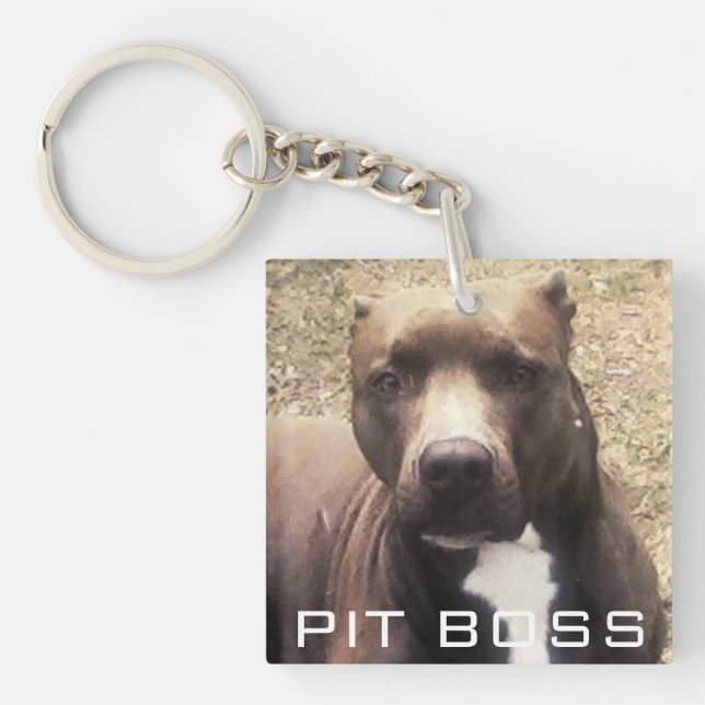 Pitbull Haustier-Foto kundengebundener Schlüsselanhänger (Vorderseite)