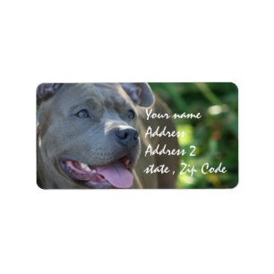 Pitbull Hund Adressaufkleber