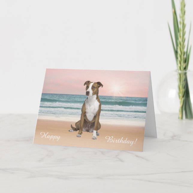 Pitbull Hund, der auf Strandsonnenuntergang Karte (Vorderseite)