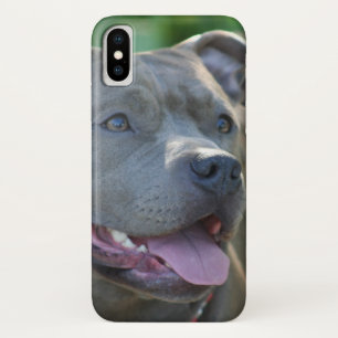 Pitbull Hund iPhone x Gehäuse title_seo2