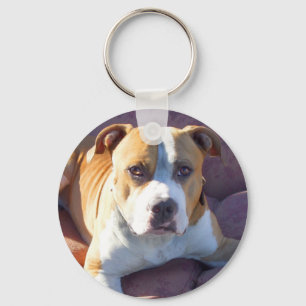 Pitbull Hund Schlüsselanhänger