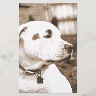 Pitbull-Hund Sepia-Farbe Hass-Tat nicht Rasse Briefpapier