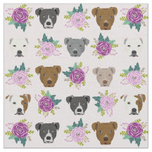 Pitbull-Hunde Lavendel
