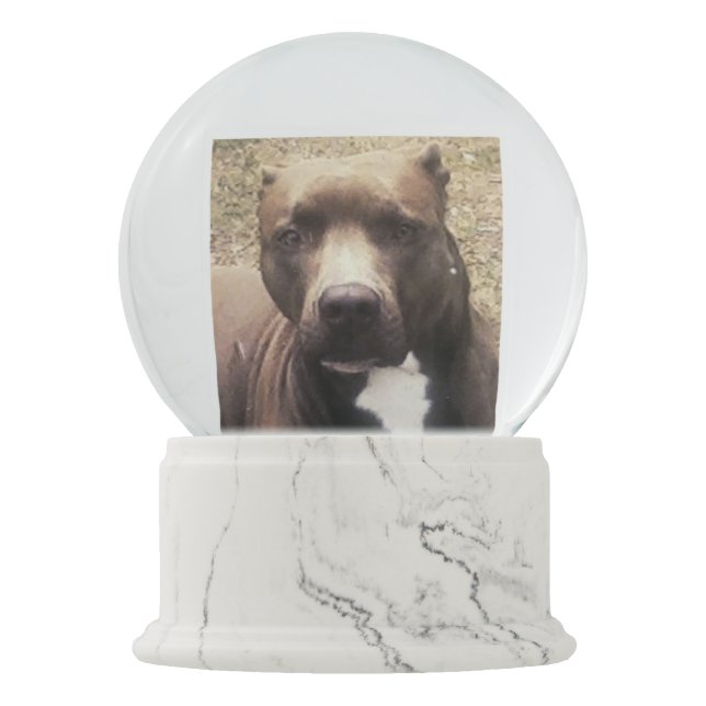 Pitbull Hundehaustier-Foto-kundenspezifische Schneekugel (Vorderseite)