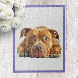 Pitbull Jigsaw Puzzle