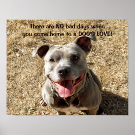 Pitbull lächelt Hundes Liebe Poster