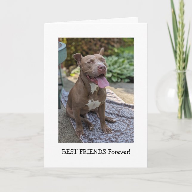 Pitbull Liebe Denke an Dich Karte (Vorderseite)