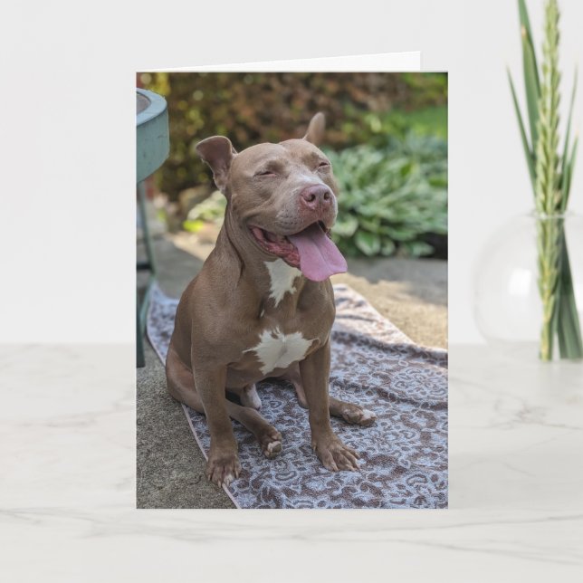 Pitbull Liebe Karte (Vorderseite)