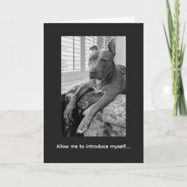 Pitbull Liebe McLovin Karte