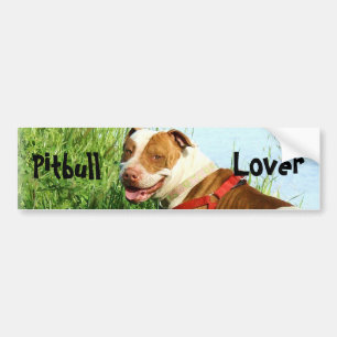 Pitbull Liebhaber-Autoaufkleber Autoaufkleber