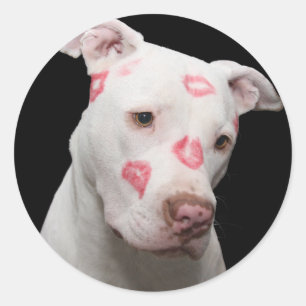 Pitbull Liebhaber Runder Aufkleber