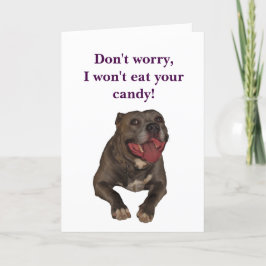 Pitbull lustige Ostern Karte