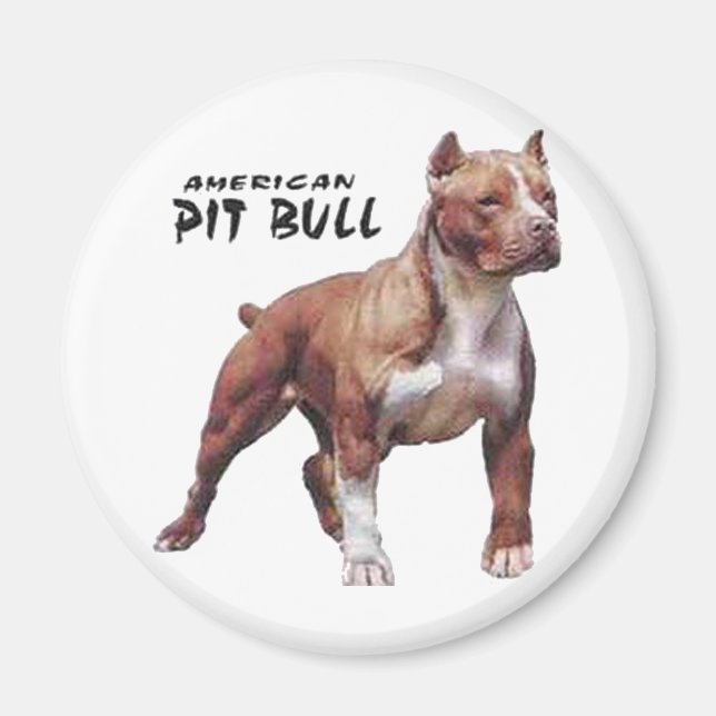 Pitbull Magnet (Vorne)