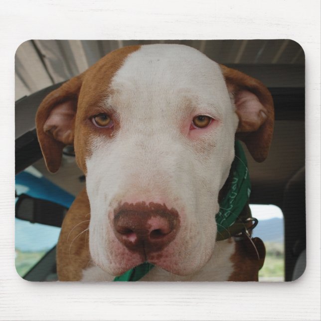 Pitbull-Mischung Mousepad (Vorne)