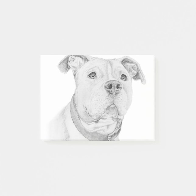 Pitbull, missverstanden post-it klebezettel (Vorderseite)