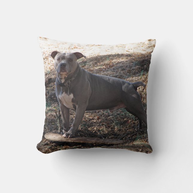 Pitbull mit Skateboardkissen Kissen (Vorderseite)