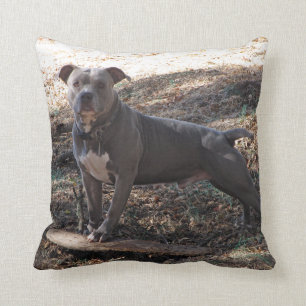 Pitbull mit Skateboardkissen Kissen