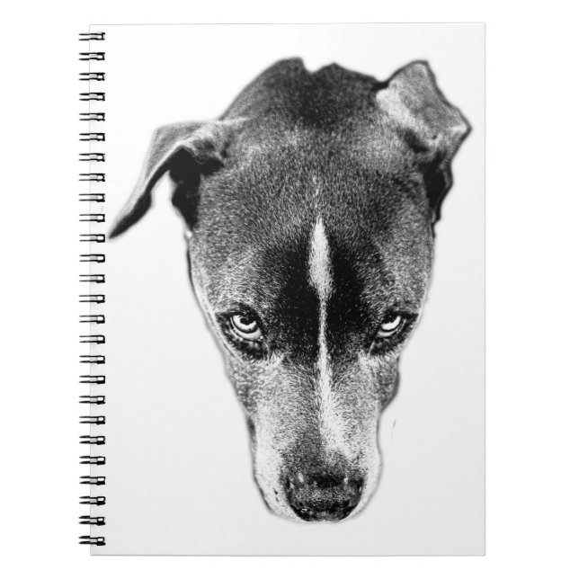 Pitbull Mix Blick Schwarz-Weiß-Kunst-Notebook Notizblock (Vorderseite)