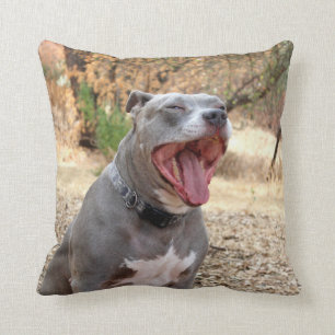 Pitbull Morgen-Gegähne-Kissen Kissen