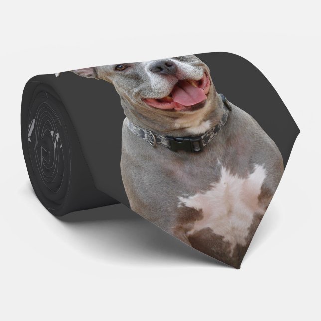 Pitbull Ohr bis Ohr Smile Necktie Krawatte (Gerollt)