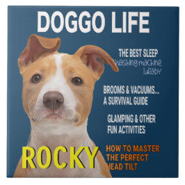 Pitbull Parody Magazine Cover Fliese