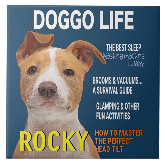 Pitbull Parody Magazine Cover Fliese (Vorderseite)