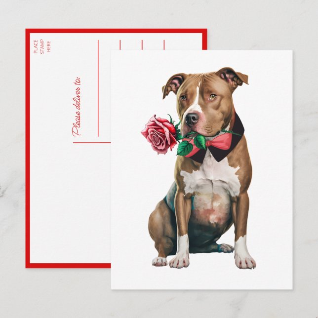 Pitbull Pittie Welpe Hund Miss Sie Liebe Pit Bull Postkarte (Vorne/Hinten)