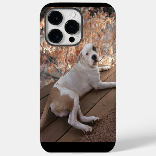 Pitbull Porch Chien coque iphone