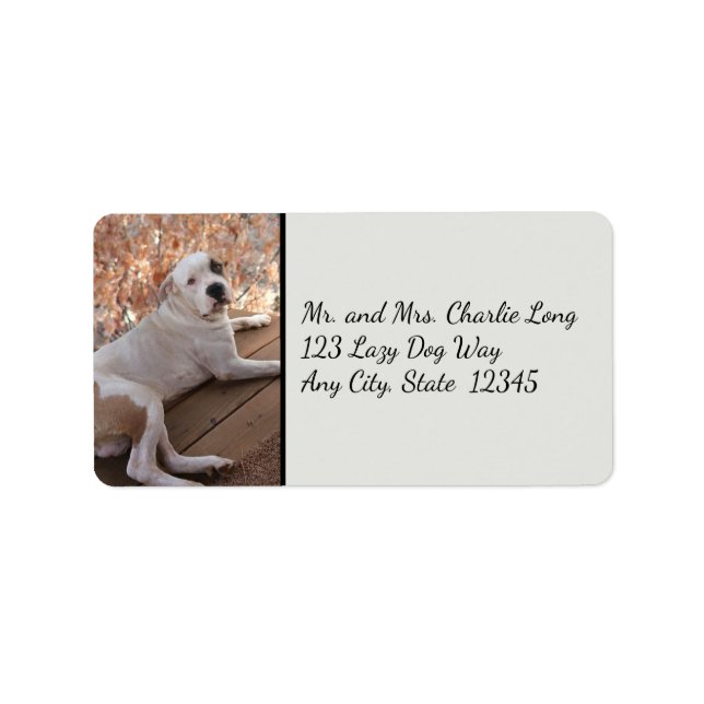Pitbull Porch Dog Address Labels Adressaufkleber (Vorne)