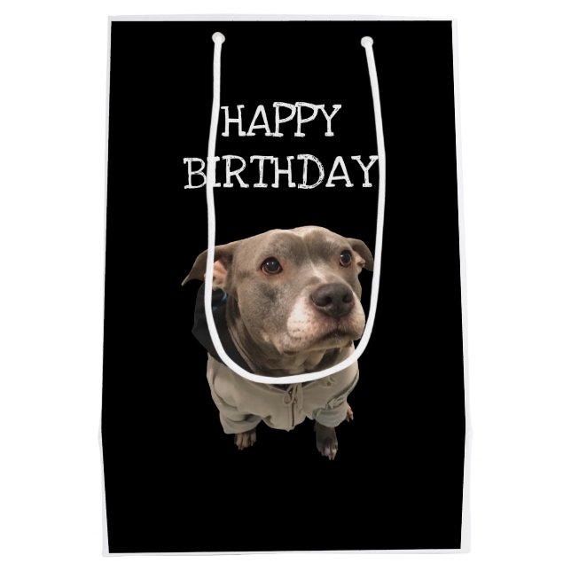 Pitbull Portant un sac cadeau Sweat - shirt à capu (Dos)
