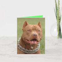 Pitbull Puppy Dodge Blank Note Card