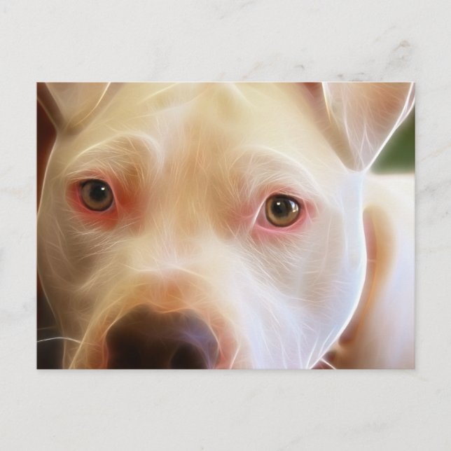 Pitbull Puppy Dog Eyes Art Fotografie Postkarte (Vorderseite)
