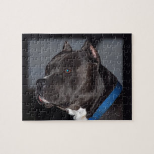 Pitbull Puzzlespiel