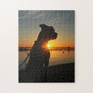 Pitbull Sonnenaufgang-Puzzlespiel
