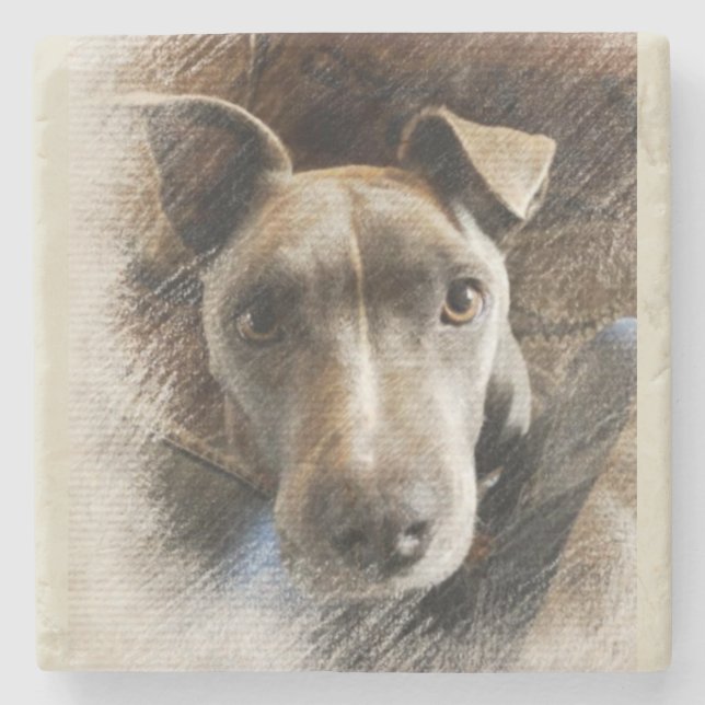 Pitbull Steinuntersetzer (Vorderseite)