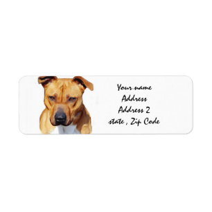 Pitbull Terrier