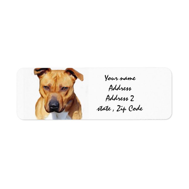 Pitbull Terrier (Vorne)