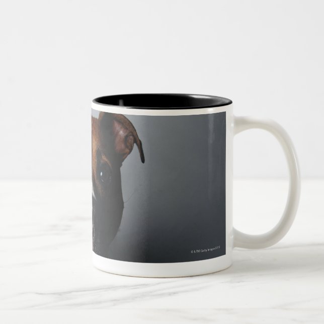 Pitbull Terrier, das sich hinlegt Zweifarbige Tasse (Rechts)