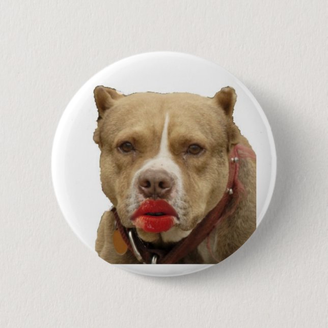 Pitbull tragender Lippenstift-Knopf Button (Vorderseite)