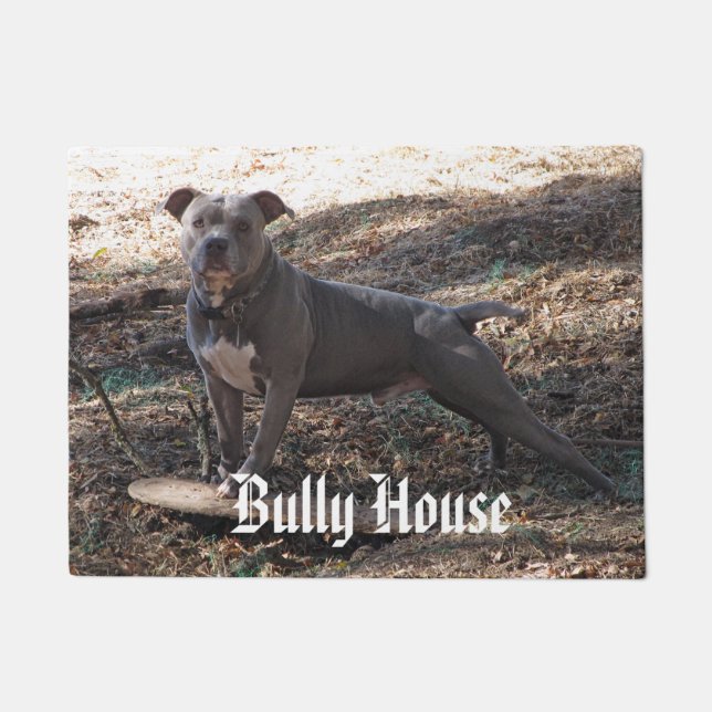 Pitbull Tyrann-Haus-Fußmatte Fußmatte (Vorderseite)