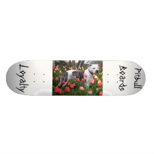 Pitbull verschalt… Loyalität Skateboard