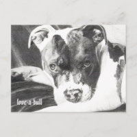Pitbull Welpe in Bleistift 4 von Jacob Grimm