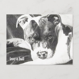 Pitbull Welpe in Bleistift 4 von Jacob Grimm Postkarte