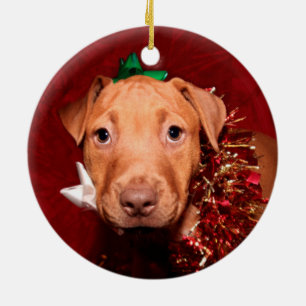 Pitbull Welpe Weihnachten Keramik Ornament